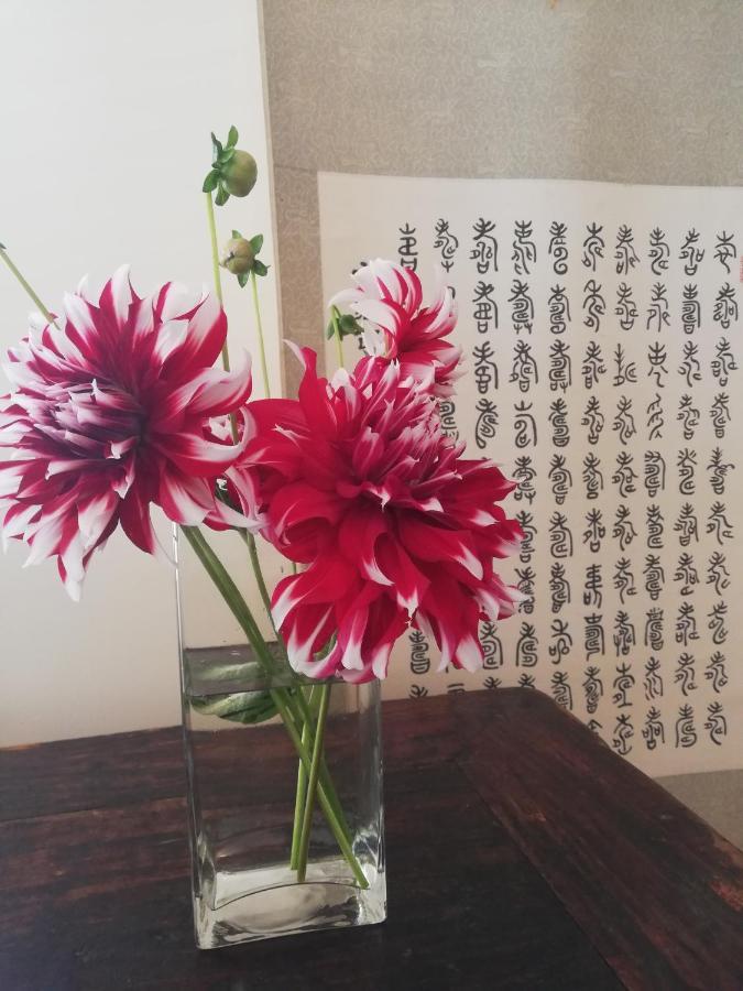 ケンメア Two Eggs Bed & Breakfast エクステリア 写真